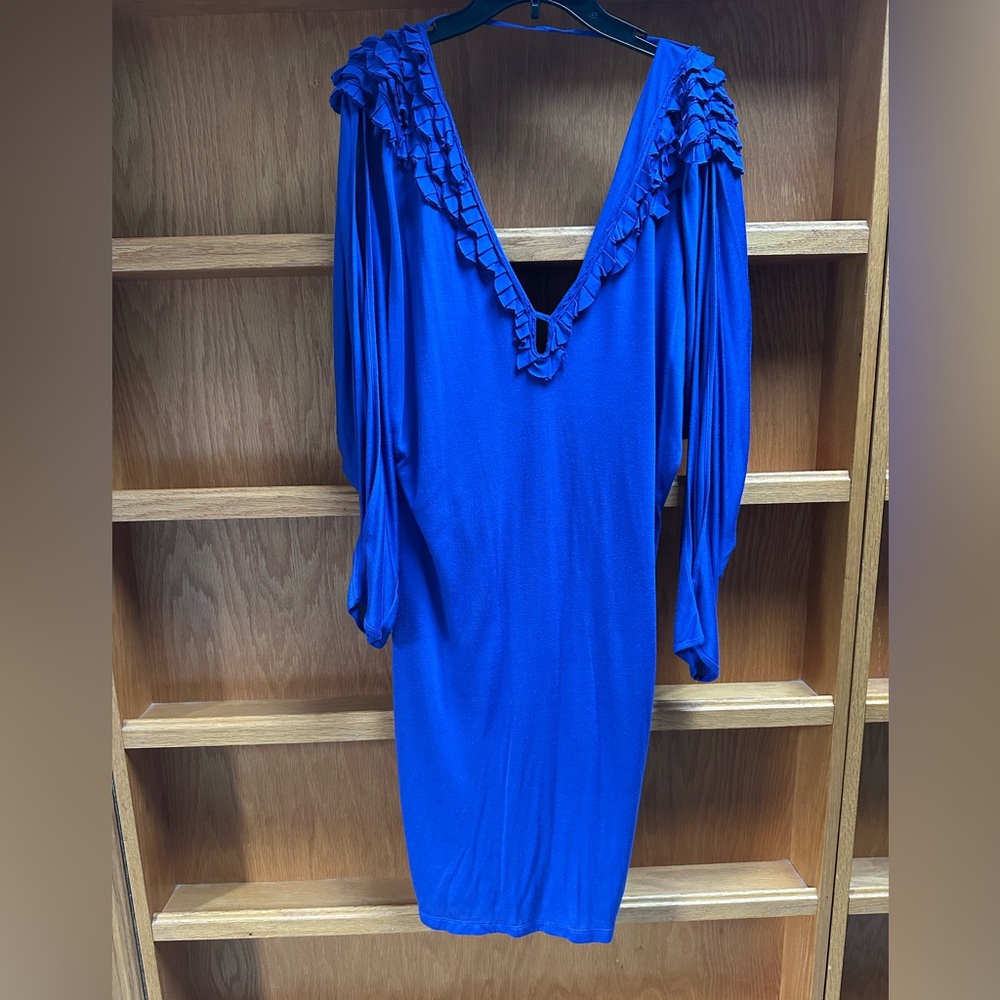 BCBG MaxAzria Runway Dress Limited Edition